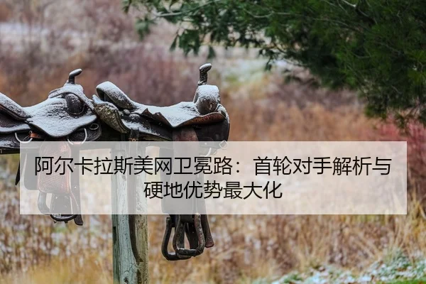 a-er-ka-la-si-mei-wang-wei-mian-lu-shou-lun-dui-shou-jie-xi-yu-ying-di-you-shi-zui-da-hua-1-905.jpg
